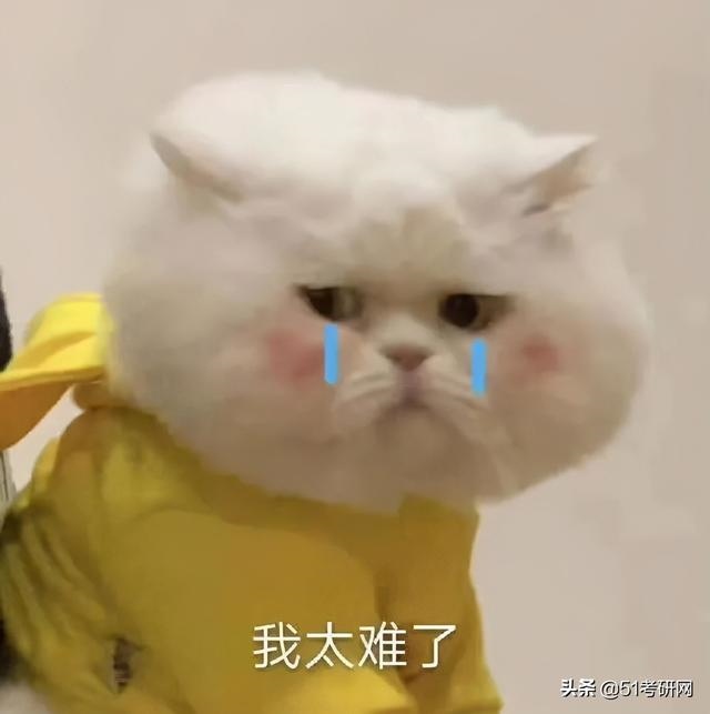 6年属虎最难的几年，86年虎女2022年会添丁吗"