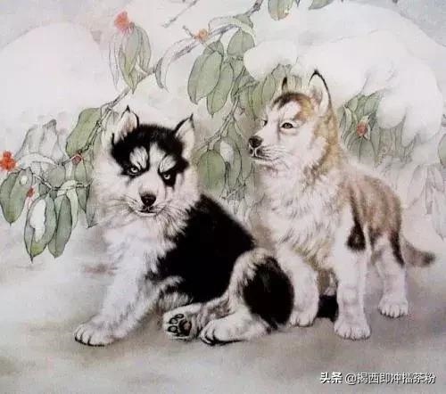 6年女鼠今年桃花运，96属鼠男的正桃花"