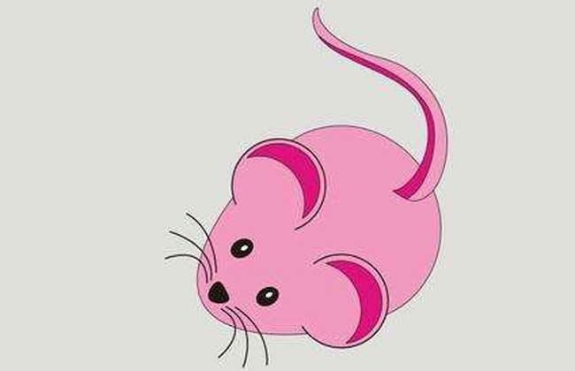 属鼠克什么生肖的父母，父母属马孩子属鼠相克吗