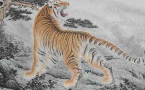 4年虎男46岁运势，74年属虎人2022