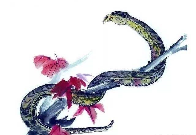 属蛇分别是哪年出生的，1977年属蛇人43岁答案