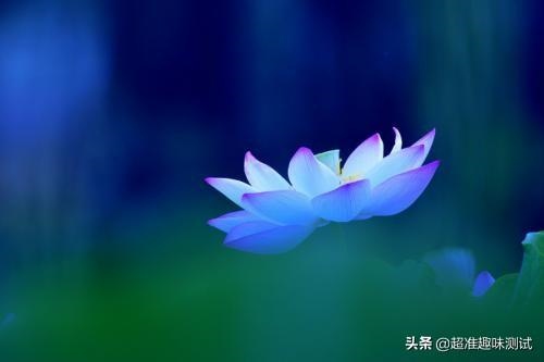 测试两人是否有夫妻缘分，免费测自己有几段婚姻