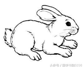 生肖属牛最忌讳的颜色，貔貅的佩戴忌讳生肖