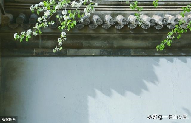 十二生肖的算命大全，免费算命大全十二生肖