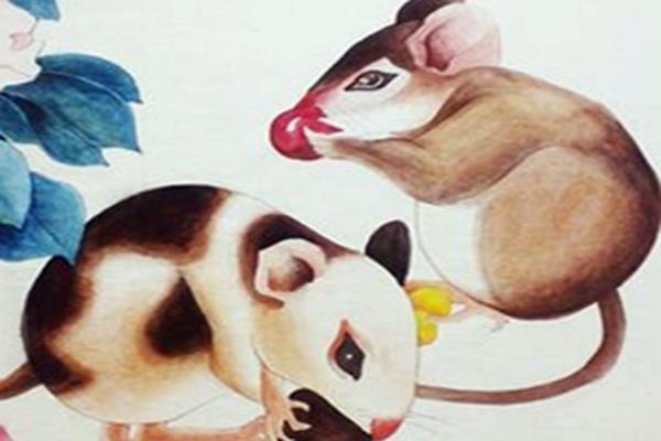 属鼠的女人心机极重，有心机的女人面相