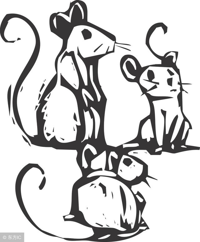 属鼠的福星是什么属相，属相龙和什么属相相克