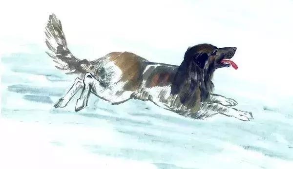 4年鼠女适合做什么生意，84年属鼠人做哪种生意最旺"