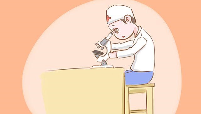 几月出生的猪最有福气，为什么猪有福气