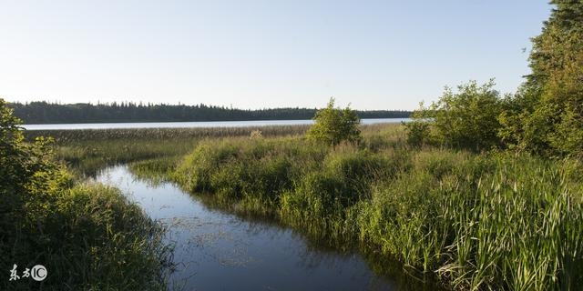 猪和什么属相最合财气,九对搭配最合财生肖