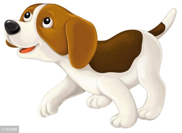 属鼠的双鱼座女生性格，72年属鼠男双鱼座的性格