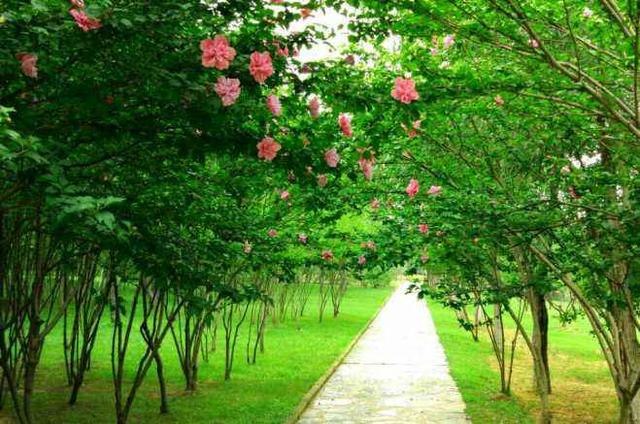 6年鼠今年下半年的运势，1996年属鼠2022