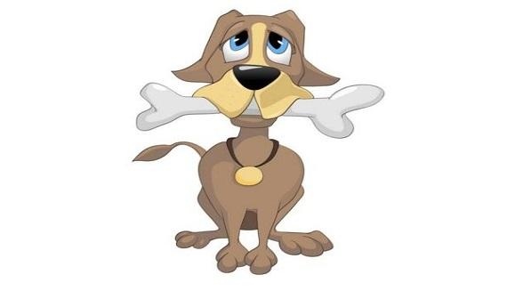 今年属狗的人今年下半年运势，今年属蛇的运势