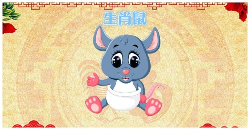 鼠和属马合不合，鼠和虎属相合不合