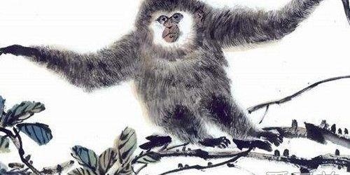 980属猴的40岁桃花运,属猴人一世四大贵人"