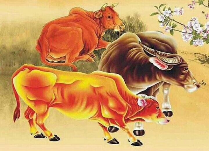 属虎相配的姻缘好吗,找对象属虎的和属虎的好不好