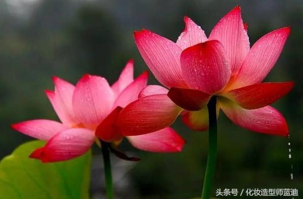 测一下我近期的财运，测一下最近的运气