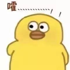 属鼠的是多少年，鼠年运气2022