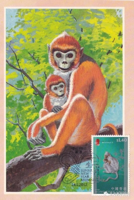 属猴的有哪几年出生的，属龙是哪一年出生的