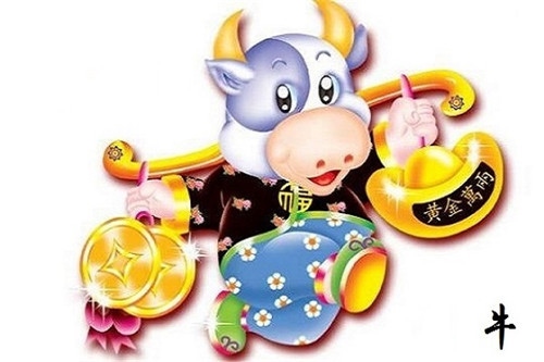 997属牛的本命年,97牛年本命年女性运势"