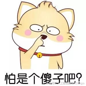 属鼠的犯冲属鸡，12生肖婚姻匹配