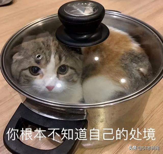 6年属虎最难的几年，86年虎女2022年会添丁吗"