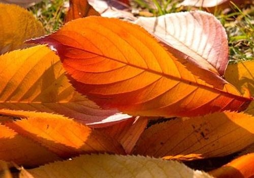 6年属鼠10月份运势,1996农历十月出生的人"