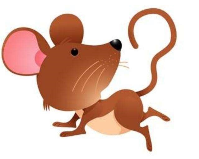 4年属鼠人店铺起名，72年属鼠50岁桃花运"