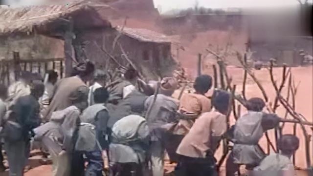 984年女的是什么命,1984年属鼠一生事业"