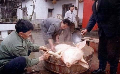 属鼠初九那天和什么属相相克,十二生肖排序表图片2022