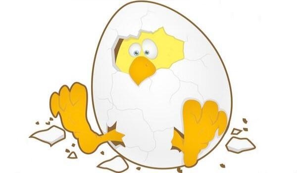 005年属鸡女孩高考运,2005年鸡在2024年运势"