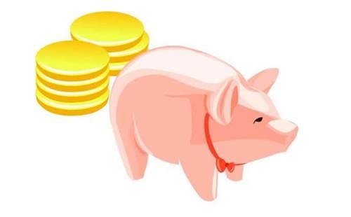 属猪女不能配什么属相，属猪女配什么属相男更好