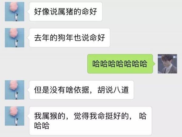 猪年犯冲的属相，2022 年属猪和什么相冲