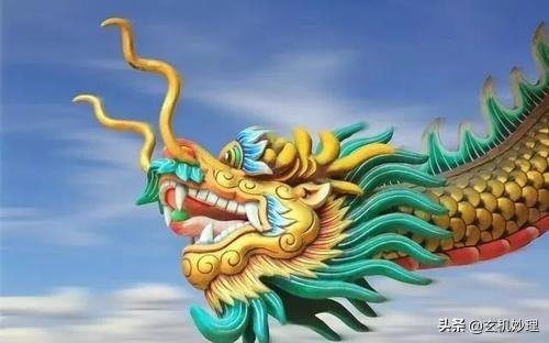 1月份的鼠命运如何，11月出生的鼠命运如何"