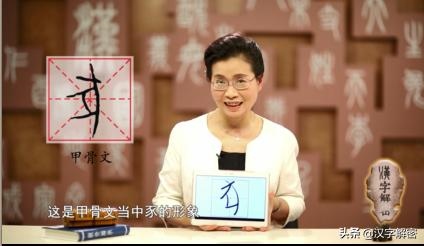 十二生肖中的猪，十二生肖邮票猪