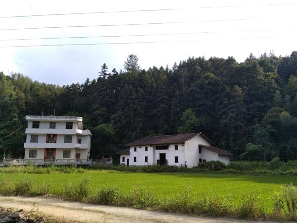 6虎女命命中有几个儿子，33岁有一劫属虎86"