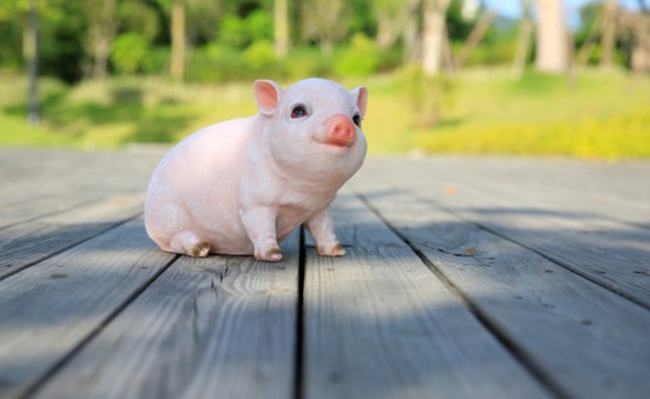 5属猪女生命中注定要嫁的人,1995年属猪女2022