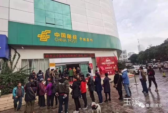 与鼠缘分深厚的生肖,老鼠跟什么生肖合得来做朋友