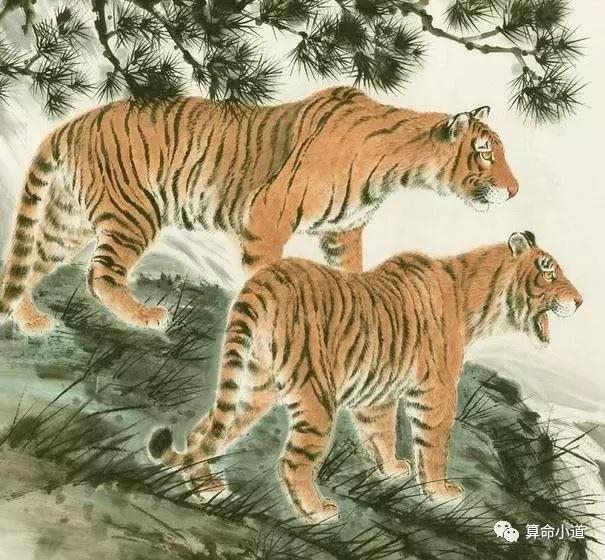 适合属猪女共度一生的生肖男，属猪女生床上厉害吗