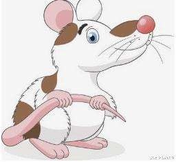 属鼠的男生性格及脾气，72年属鼠男2022 婚外情