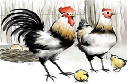 993年的鸡什么命,1993年属鸡是什么命男"