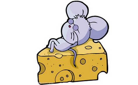 984年属土鼠，什么命怎么算金木水火土"