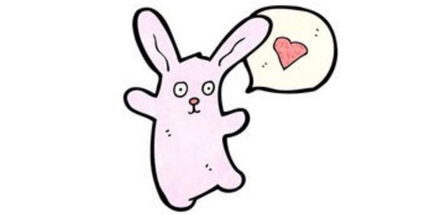 963年属兔今年运势，1963年属兔人一生运势"