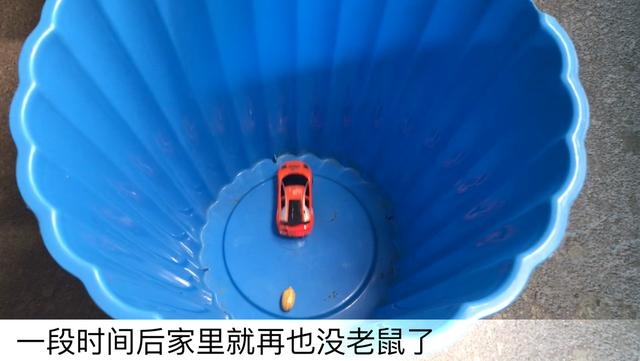 房间里放什么能驱赶老鼠，猫叫声吓老鼠播放