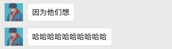 猪年犯冲的属相，2022 年属猪和什么相冲