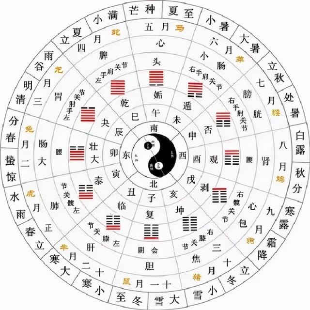 兔的六三合是什么生肖，属兔的六冲是什么生肖