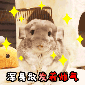 属鼠女跟属鸡男的婚姻配吗，1993鸡遇到1996鼠配么