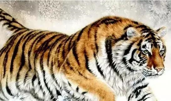 4年属虎男后半生婚姻，属虎的女人几月会克夫"