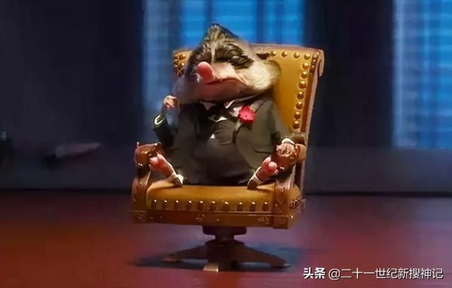 996年火鼠为什么火，1996年属鼠是什么命"