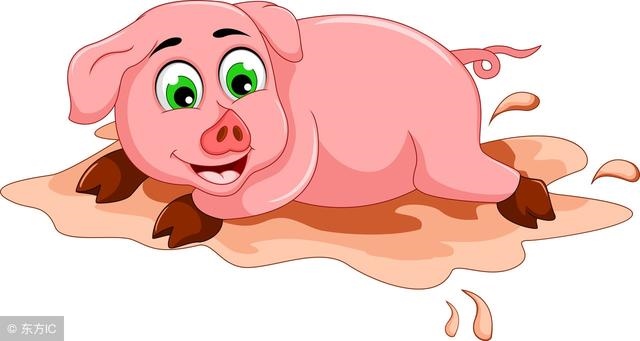 属猪女哪天出生不好，71属猪女几月出生不好