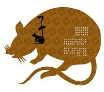 属鼠的今天考试怎么样，属鼠女学业2022 年趋势